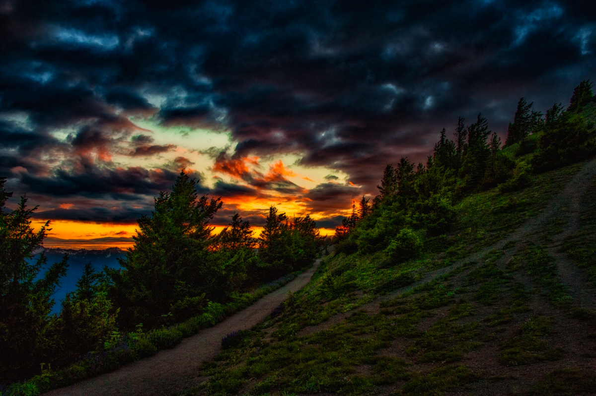 DSC_1380-Edit
