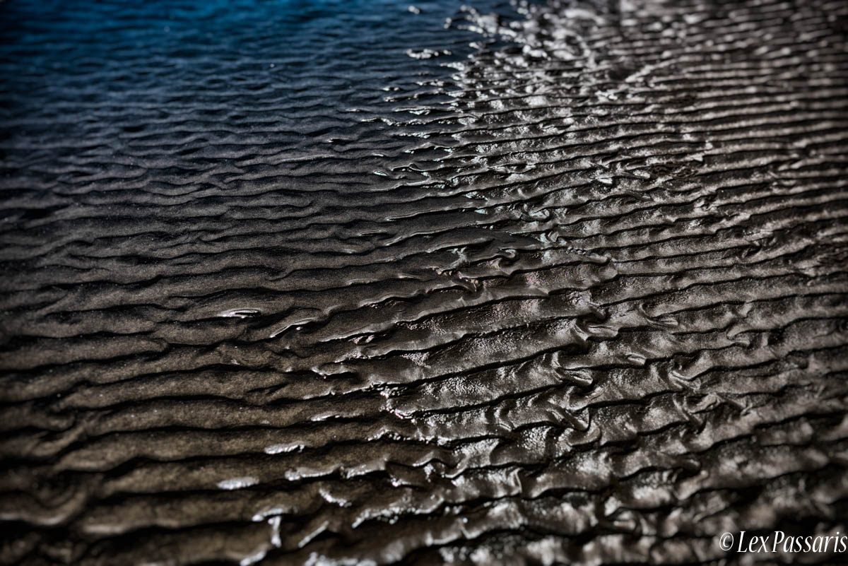 LSP_5381-Edit-Edit