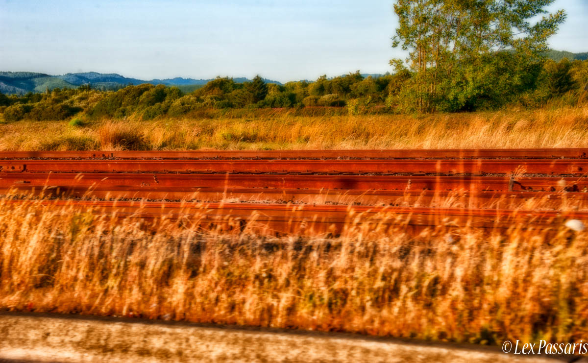 DSC_8436-Edit