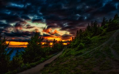 “Twilight Time, to dream awhile  In veils of deepening blue As fantasy strides over colorful skies Of form disappearing from view” (Hurricane Ridge, Washington 2011)