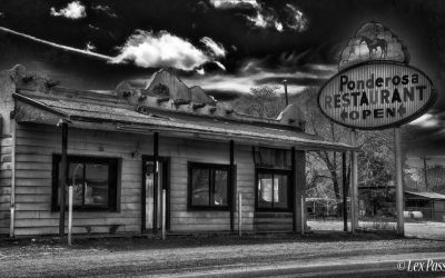 Along Highway 60 in New Mexico-2019