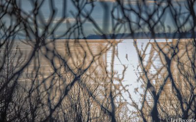 Leslie Spit, Toronto, Ontario, CANADA-2018