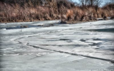 On the banks of Lake Ontario-Toronto, Ontario CANADA-2018