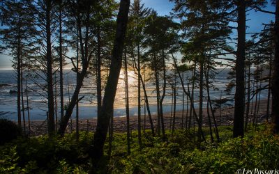 Washington State Coast-2018