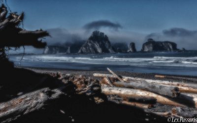Mora/La Push-Washington-2018