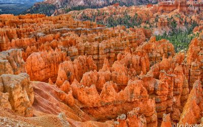 Bryce Canyon, Utah-2019 #2