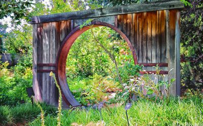 Denver Botanic Gardens – Colorado-2019