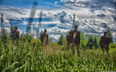 Sculpture-“Lights” by Steinunn Thorarinsdottir-Denver Botanic Gardens-Colorado-2019