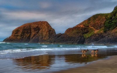 Cannon Beach, Oregon-2019