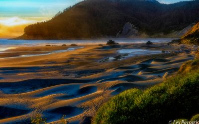 Oregon Coast-2019