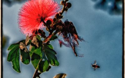 Nature is resilient, I hope so are we