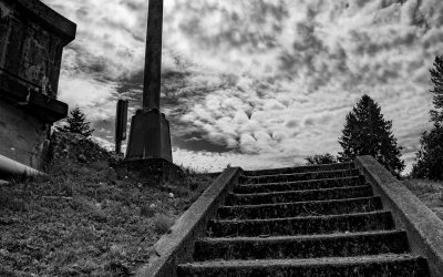Olympic Peninsula – 2011