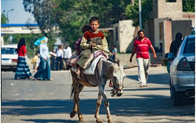 Bouncin’ Buckaroos (Cairo, Egypt-May 2011)