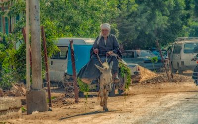 Cairo, Egypt-2011