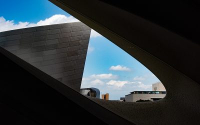 Broad Museum-Los Angeles, California-2019