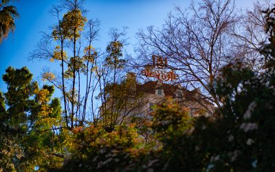 Hancock Park, CA-2019