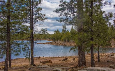 near Payson, AZ––2018