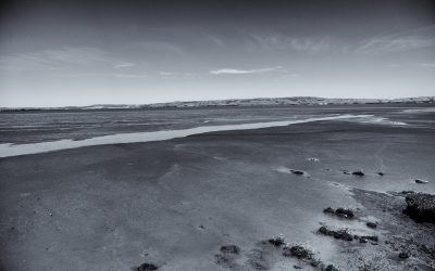 Baylands Nature Preserve, Palo Alto, CA-2019