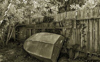 Inverness, CA-2019