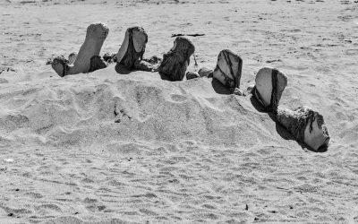 Limantour Beach, Point Reyes Station, CA-2019