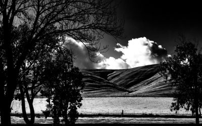 Pacheco Pass, CA-2019