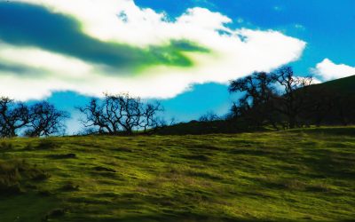 Pacheco Pass, CA – 2019