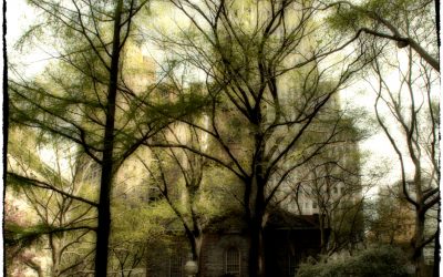 On a somber day of state (New York City, 2008)