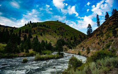 Salmon River, Idaho––2019