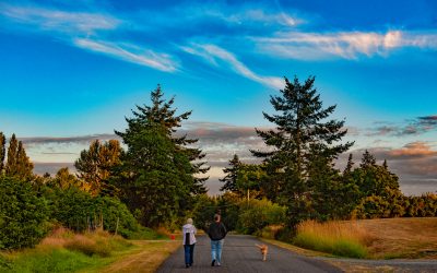 Whidbey Island, WA––2019