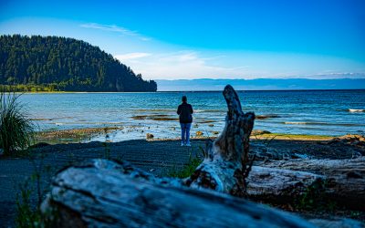 Along the Strait of Juan de Fuca Highway, Northwest Washington––2019