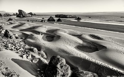 near Gold Beach, OR-2019