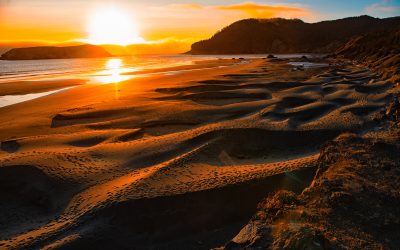 Coastal Oregon-2019