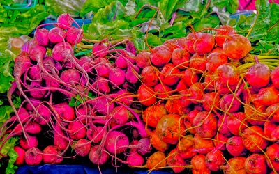 Larchmont Farmers Market Los Angeles, CA-2015